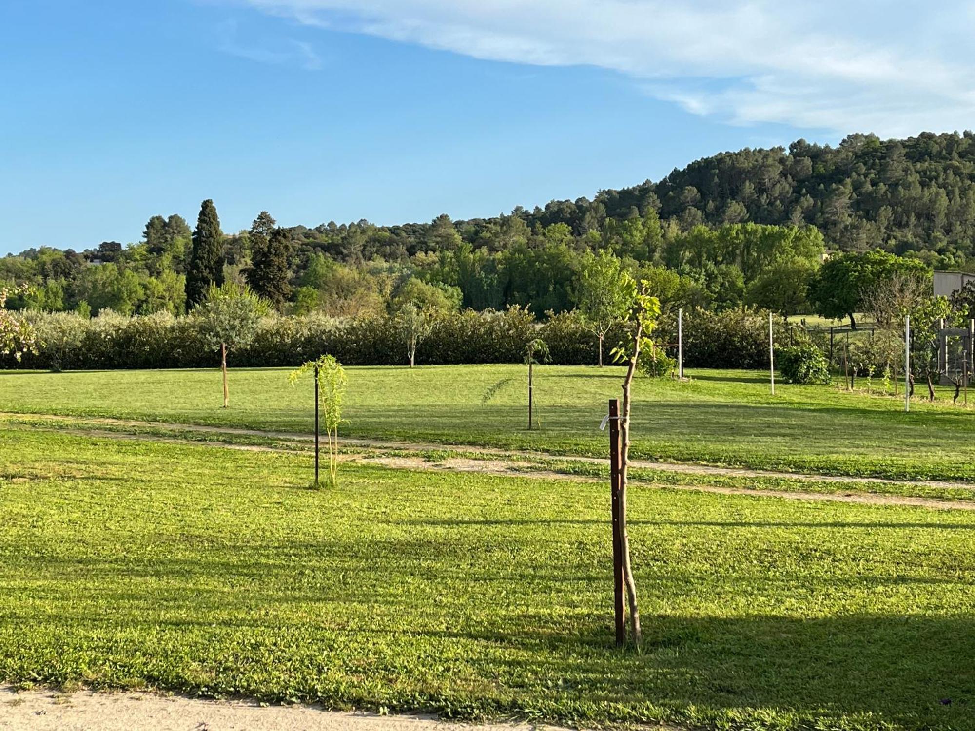 La Bergerie Lägenhet Domessargues Exteriör bild