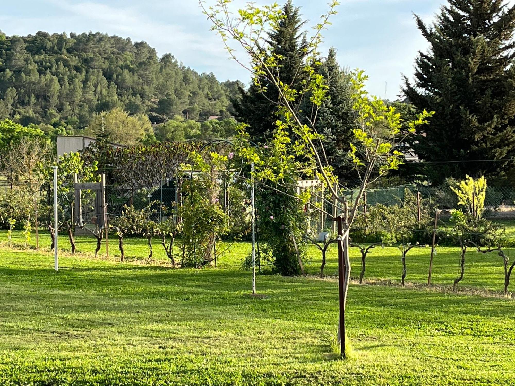 La Bergerie Lägenhet Domessargues Exteriör bild